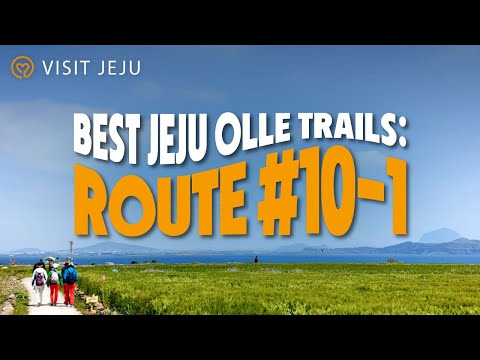 Best Jeju Olle Trails: Route #10-1