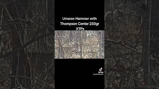 umarex hammer