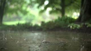 10 hour video sounds of rain for sleeping and relaxation.