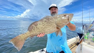 Grouper fishing in Tampa Bay!