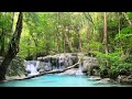 Relaxing Zen with Water Sounds • Relax, Sleep, Spa, Yoga, Meditation