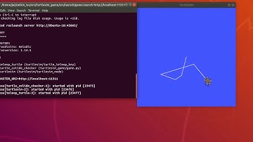 Using Turtlesim Game to Learn ROS Basics