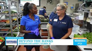 [SPONSORED] Beyond the Banks
