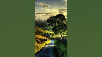 القرآن الكريم 🤍🌹 #اكسبلور #فولو #اكسبلورر