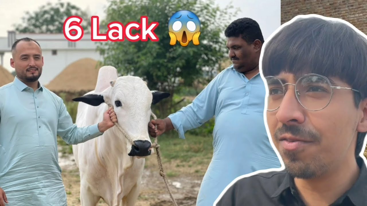 qurbani-ka-janwar-dekhne-gay-fateh-jhang-ka-janwar-rs-6-000-000-ka