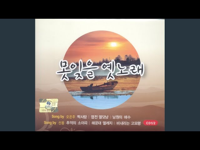 Obejrzyj 해운대 엘레지 w YouTube
