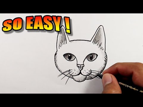 How to draw a cat face easy step by step | Easy Drawings