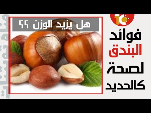 فوائد البندق لا تصدق هل البندق يزيد الوزن فوائد البندق البندق فوائد