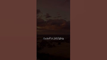 سورة الرحمن الشيخ عبدالباسط