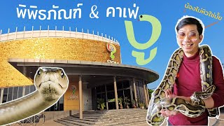 คนหัวงู ขอเที่ยวพิพิธภัณฑ์งู (บรรพบุรุษของเขาล่ะ) #พิพิธภัณฑ์งู2024