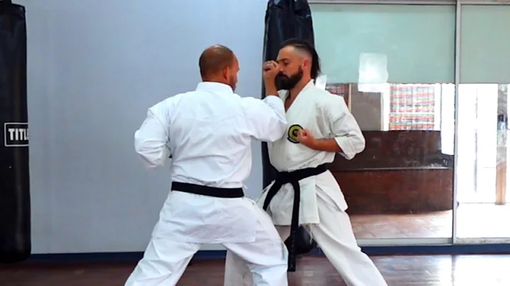 Basic Geki Sai Dai Ichi and Ni Bunkai for Grading - DayDayNews