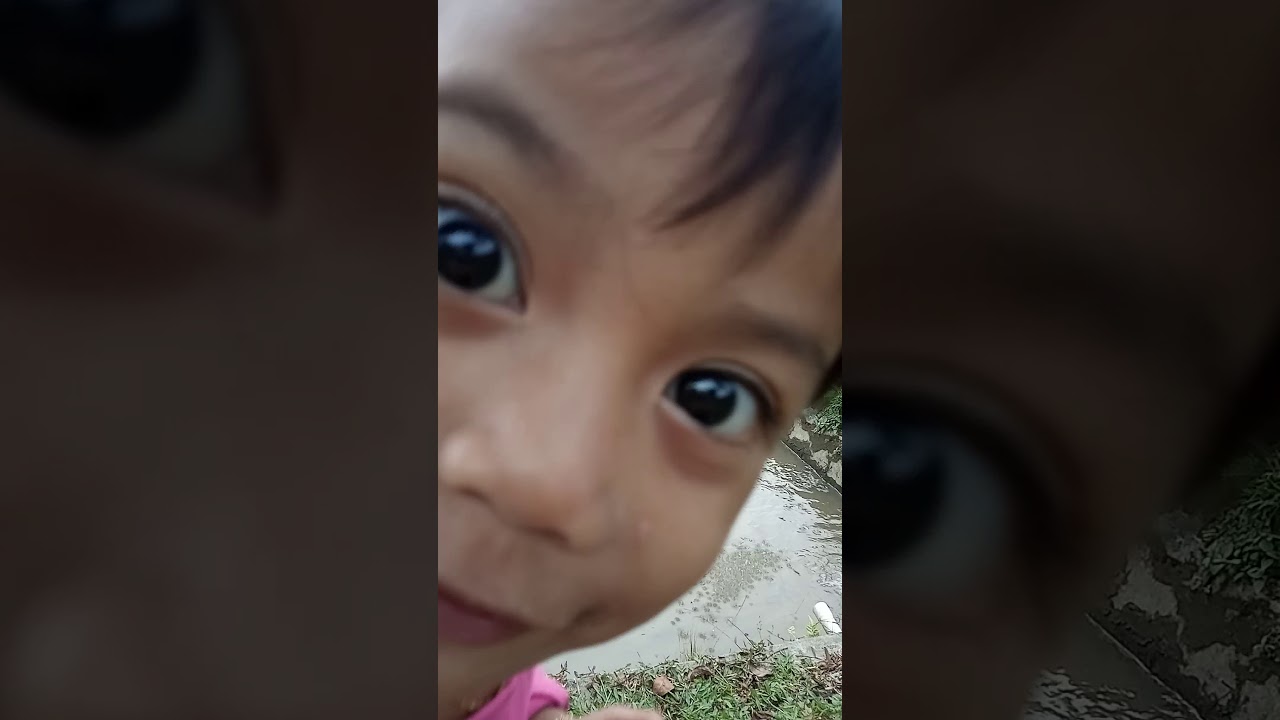 Panen lele 
