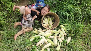Single Mother: Harvesting Corn to Sell at Market - Building a Single Mother Farm