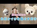 【Machico】ただメイクを落とす動画【クレンジング】