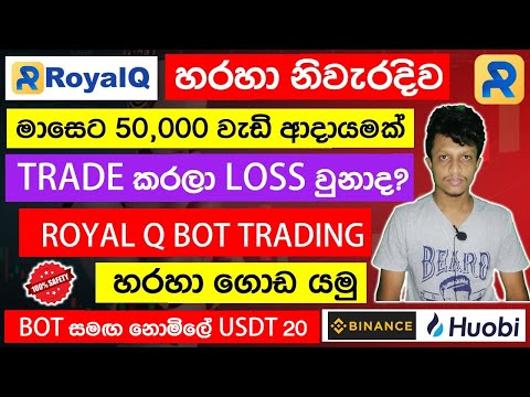 royal q binance