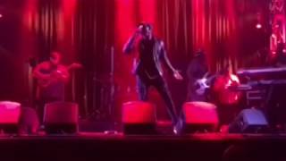 Mario Somebody Else Live
