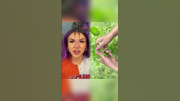 HOW TO CUT WHISPY BANGS | BAILEY SPINN #shorts