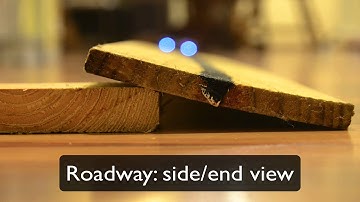 Disturbance Input to Open and Closed-Loop System