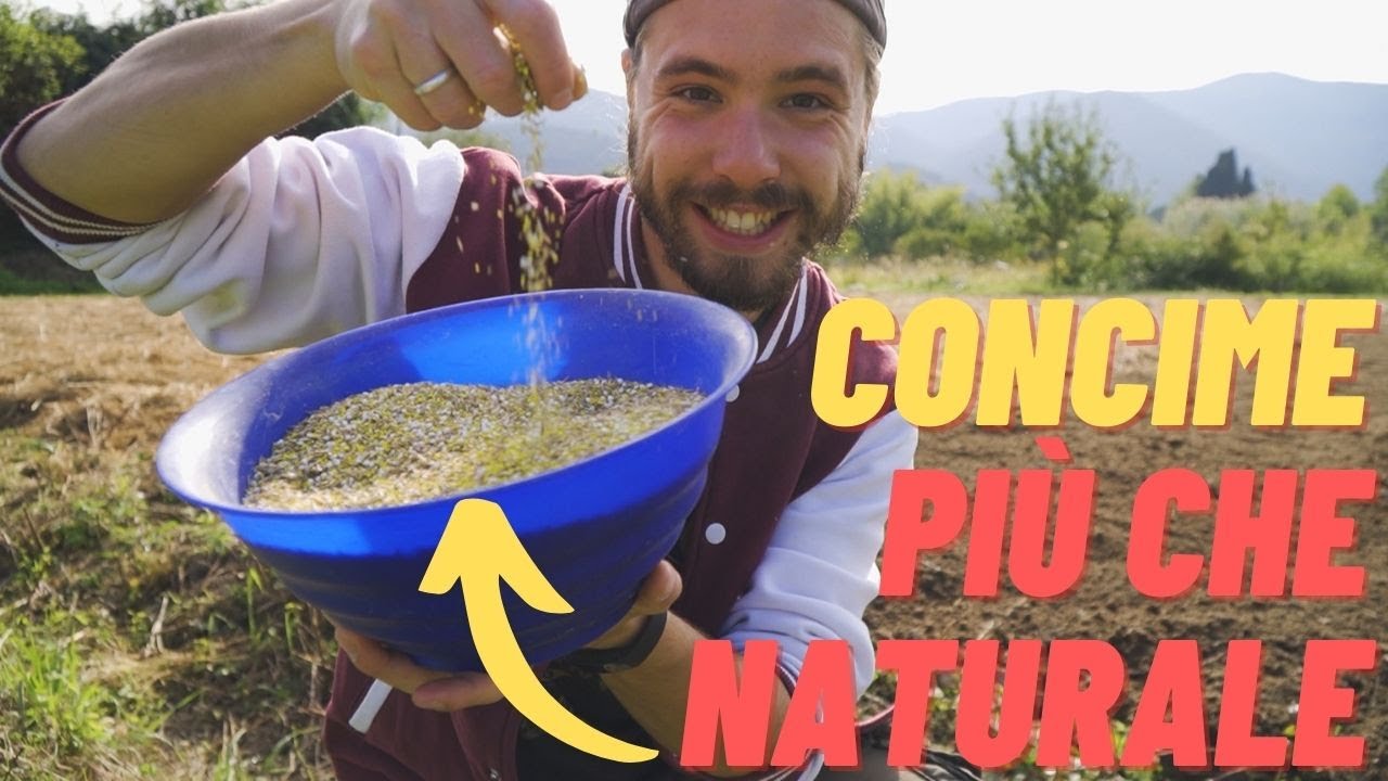 ARRICCHIRE LA TERRA SEMINANDO PASCOLI | SEMINA DEL SOVESCIO DI LEGUMINOSE IN AUTUNNO🍂