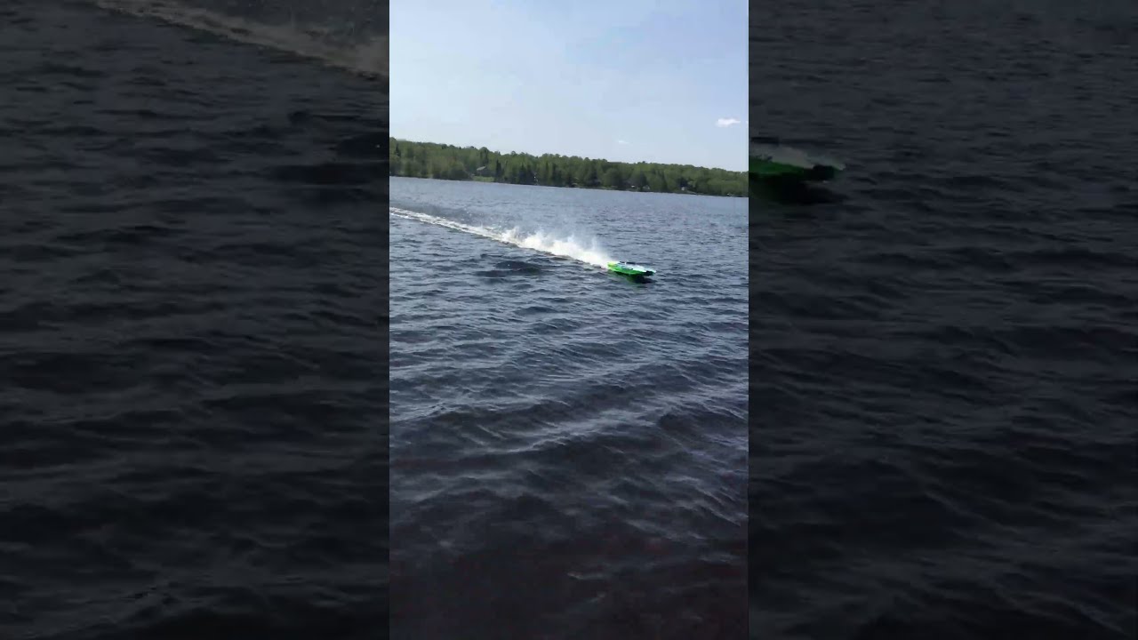 🌊 DCB M41 Catamaran – ProBoat Precision & Power! ⚡