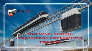 SkyWay. Future Transport Investment project