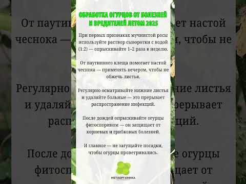 Обработка огурцов от