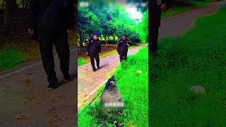 surah fatiha quran tilawat #viral #shortvideo #funny #bird