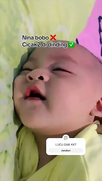 DJ CICAK CICAK DI DINDING | PALESTINA BIDADARI