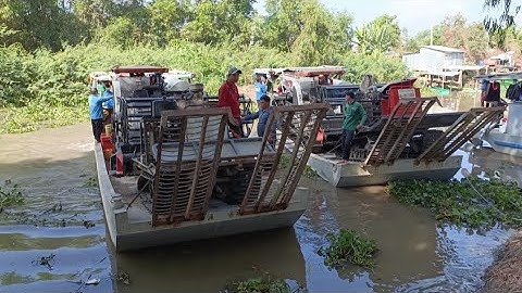 máy cắt lúa 105 binh tóc độ cắt lúa đông xuân rất nhanh lúa rất chúng tập 4#maibangtv