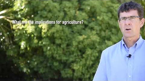 Alkaline soils: the essentials