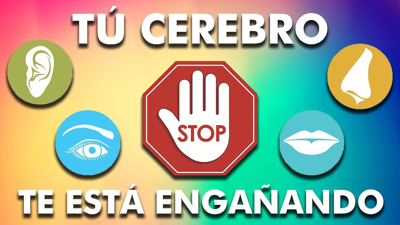 DESCUBRE como te ENGAÑA tu CEREBRO a través de los sentidos - YouTube