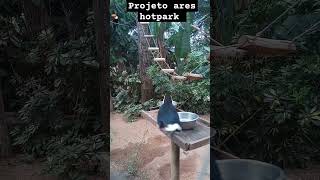 Tucano do projeto ares hotpark#rioquenteresorts #goiás