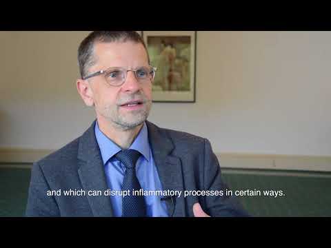 Inflammation at Interfaces Interview Ulf Müller-Ladner (short version)