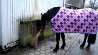 Wytse - Der Kampf Mit Dem Besen - 15.01.2011