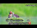سورة الفرقان جوده عاليه