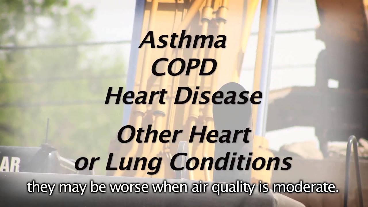 What Does Moderate AQI Mean? (Vignette 3 English)