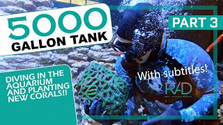 5000 GALLON REEF AQUARIUM IN FORT LAUDERDALE, FLORIDA BY REEF AQUARIA DESIGN PART 3