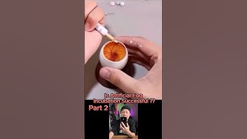 Part 2 : Is artificial egg incubation successful? #dthacks92 #lifehacks #tips #hack #hacks #egg