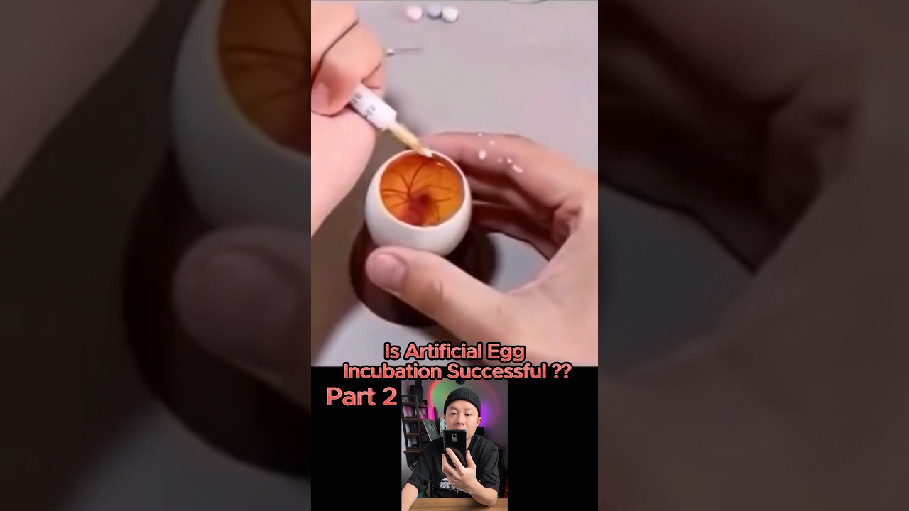 Part 2 : Is artificial egg incubation successful? #dthacks92 #lifehacks #tips #hack #hacks #egg