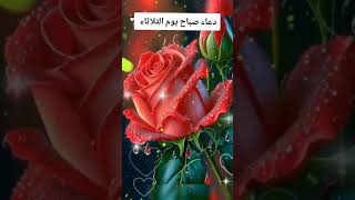 صباح الخير علي الجميع حالات واتس صباحية 🌹🌹دعاء صباح يوم الثلاثاء حالات واتس دينية #حالات #shorts