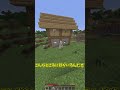[マイクラ]鉄(アイアンゴーレム)の扱い方の違い #shorts