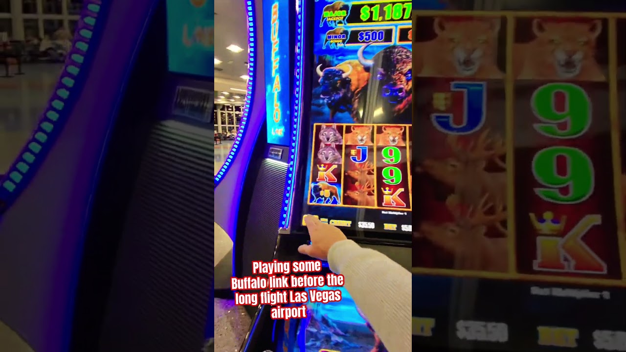 Playing High limit Buffalo Link 