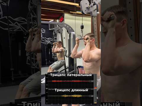 Трицепс по науке💪🏼За персональным планом обращаться в телеграмм:@AlexeyTrainerr🤝