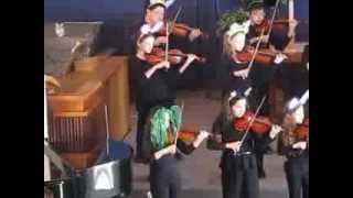 Senior Strings Ensembles Concert March 2014