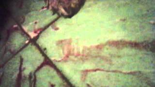 Download lagu nikita cool vidio look the vidio nikita cool vidio look the vidio