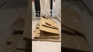 【永久保存版】ダンボールの最適解、見つけた!