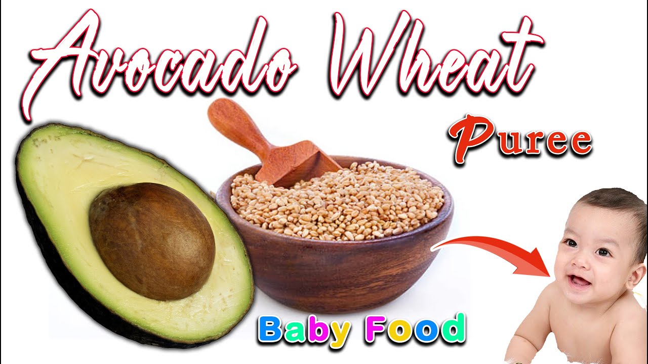 Avocado Wheat Puree For Babies WEIGHTGAIN BABY FOODs Avocado avocado-wheat-puree-for-babies-weightgain-baby-foods-avocado