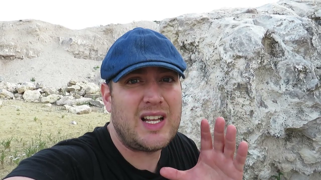 Lagartija cenicienta (Psammodromus hispanicus). Pequeñita y hermosita. GONZALO.