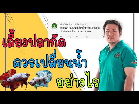 วีดีโอ: วิธีทำให้น้ำปลากัดอุ่น: 6 ขั้นตอน