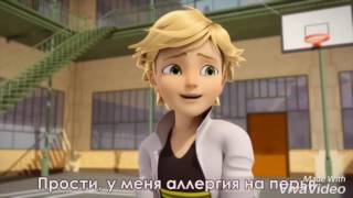 Леди Баг и Супер Кот приколы